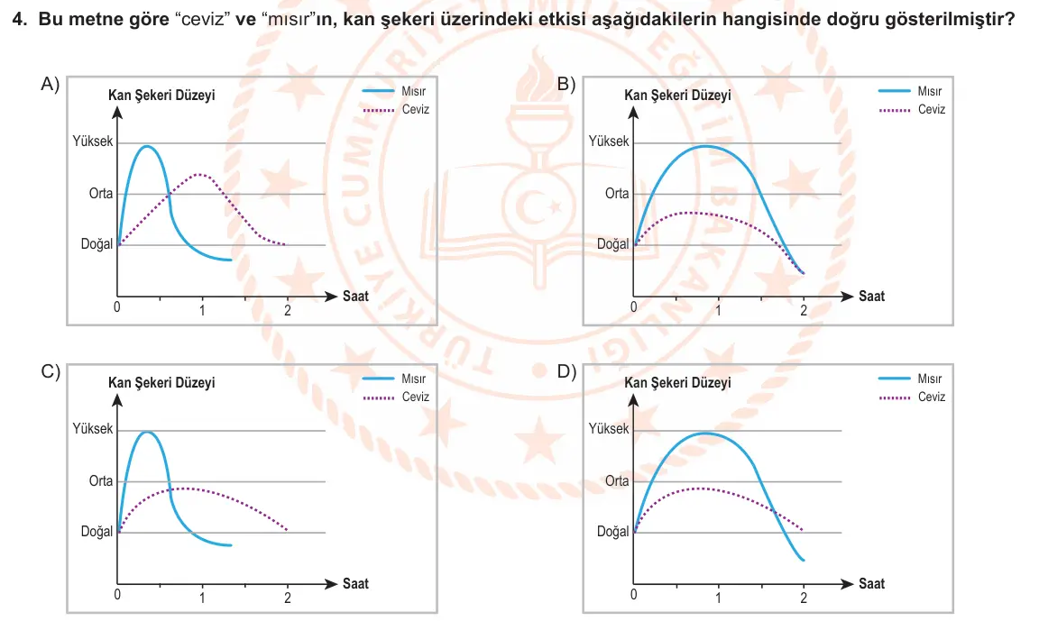 LGS Örnek Soruları Şubat 2020 Sözel Türkçe 4. Soru görseli