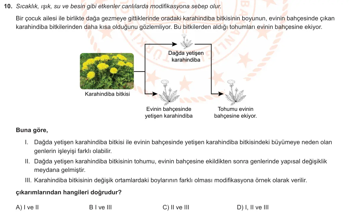 LGS Örnek Soruları Aralık 2020 Sayısal Fen Bilimleri 10. Soru görseli