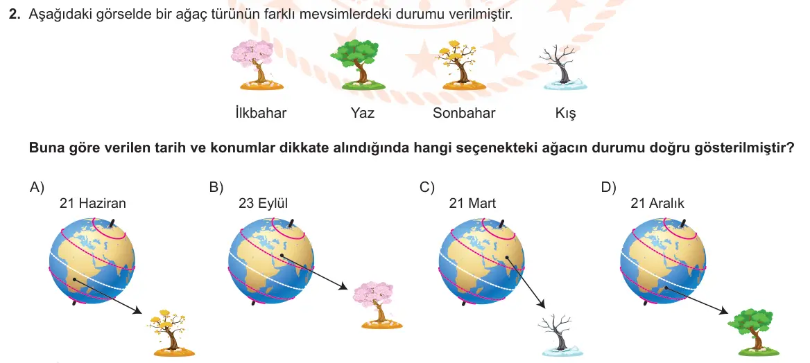 LGS Örnek Soruları Aralık 2020 Sayısal Fen Bilimleri 2. Soru görseli