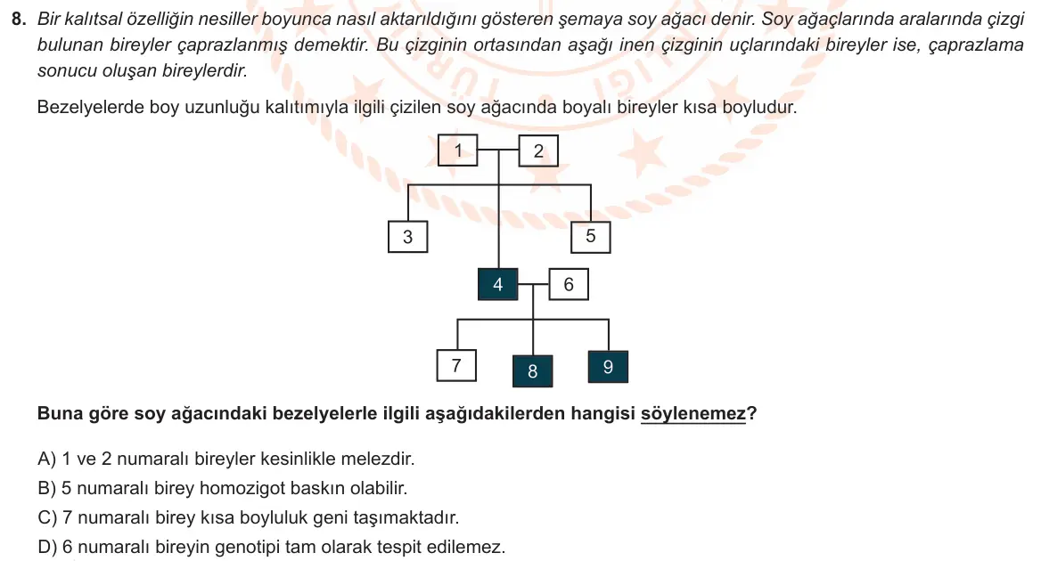LGS Örnek Soruları Aralık 2020 Sayısal Fen Bilimleri 8. Soru görseli