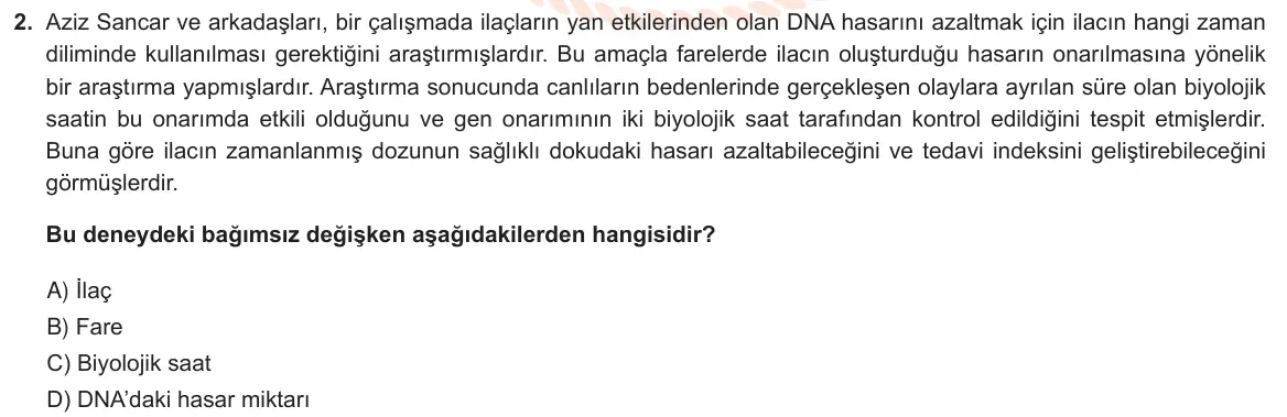 LGS Örnek Soruları Mart 2021 Sayısal Fen Bilimleri 2. Soru görseli