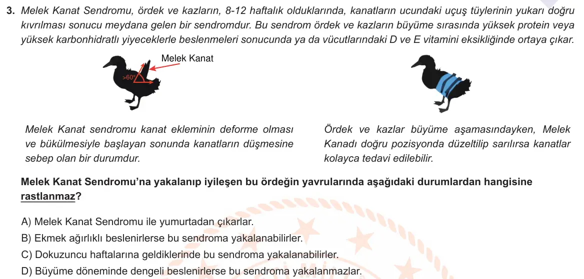 LGS Örnek Soruları Mart 2021 Sayısal Fen Bilimleri 3. Soru görseli