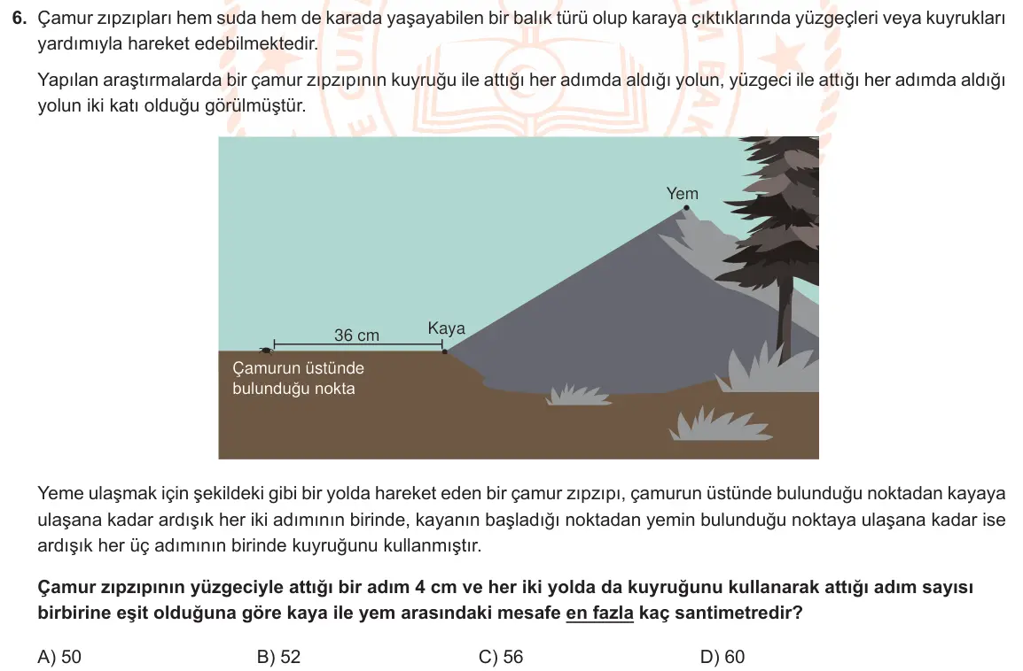 LGS Örnek Soruları Mart 2021 Sayısal Matematik 6. Soru görseli