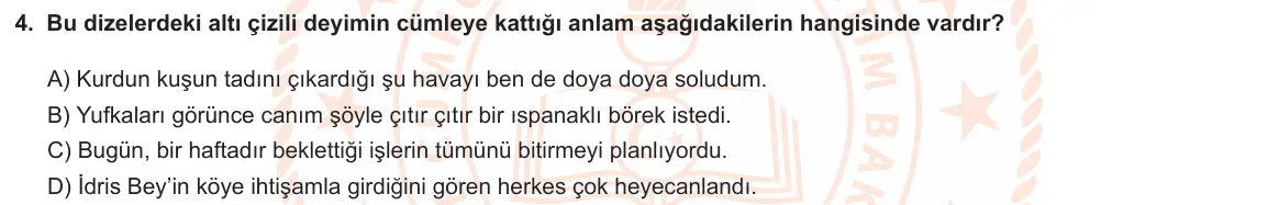 LGS Örnek Soruları Mart 2021 Sözel Türkçe 4. Soru görseli