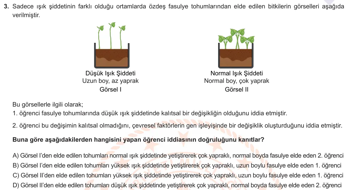 LGS Örnek Soruları Mayıs 2021 Sayısal Fen Bilimleri 3. Soru görseli