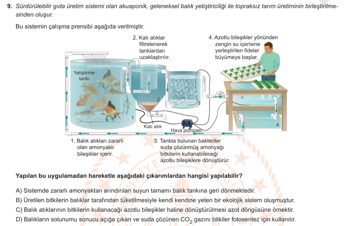 LGS Örnek Soruları Mayıs 2021 Sayısal Fen Bilimleri 9. Soru görseli