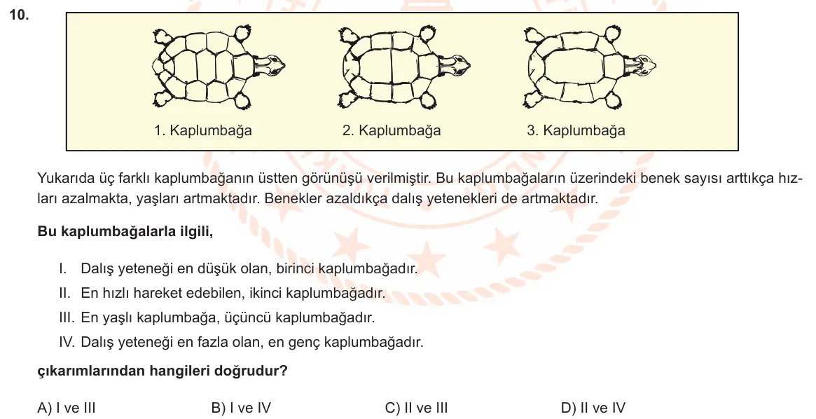 LGS Örnek Soruları Mayıs 2021 Sözel Türkçe 10. Soru görseli