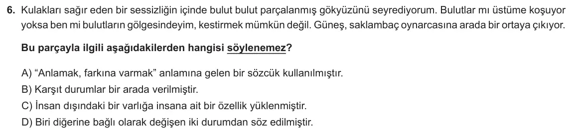LGS Örnek Soruları Mayıs 2021 Sözel Türkçe 6. Soru görseli