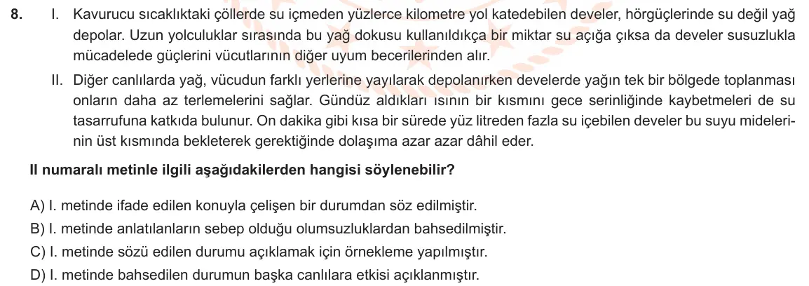 LGS Örnek Soruları Mayıs 2021 Sözel Türkçe 8. Soru görseli