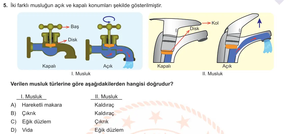 LGS Örnek Soruları Nisan 2021 Sayısal Fen Bilimleri 5. Soru görseli