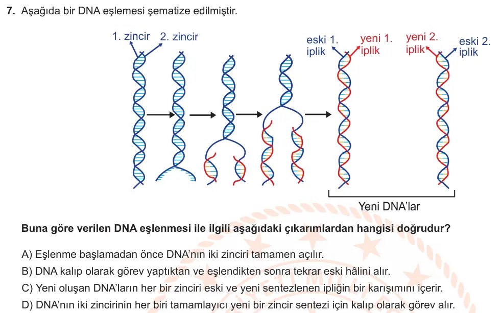 LGS Örnek Soruları Ocak 2021 Sayısal Fen Bilimleri 7. Soru görseli