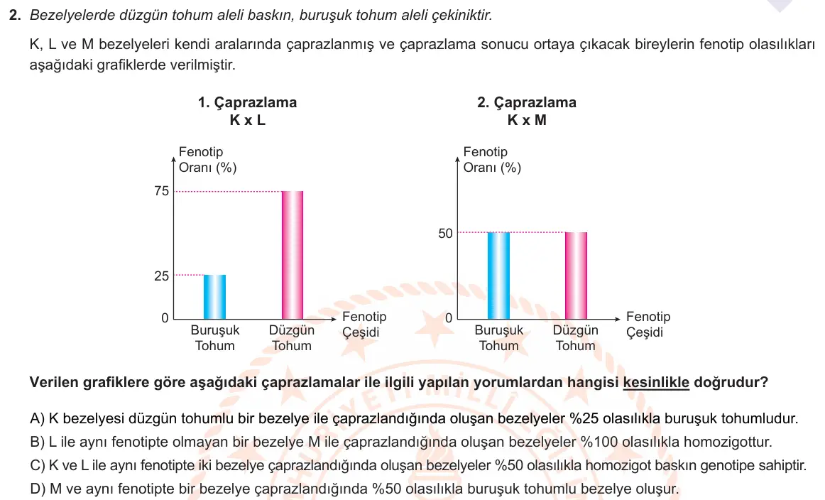 LGS Örnek Soruları Şubat 2021 Sayısal Fen Bilimleri 2. Soru görseli