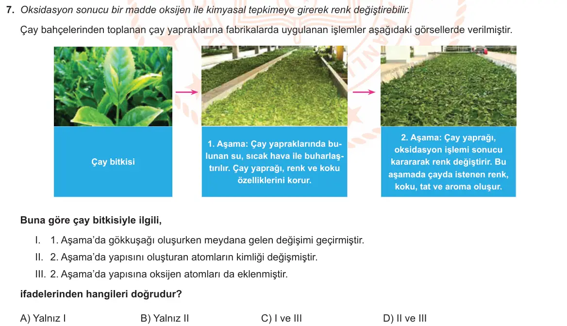 LGS Örnek Soruları Şubat 2021 Sayısal Fen Bilimleri 7. Soru görseli