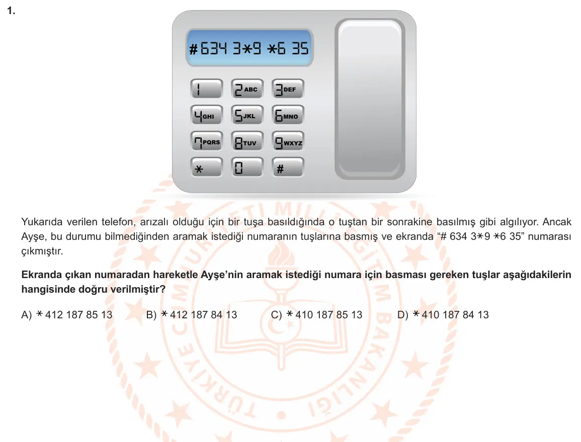 LGS Örnek Soruları Şubat 2021 Sözel Türkçe 1. Soru görseli