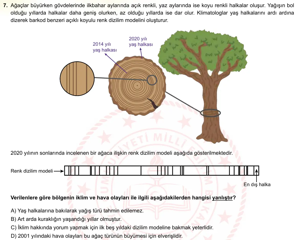LGS Örnek Soruları Ekim 2021 Sayısal Fen Bilimleri 7. Soru görseli