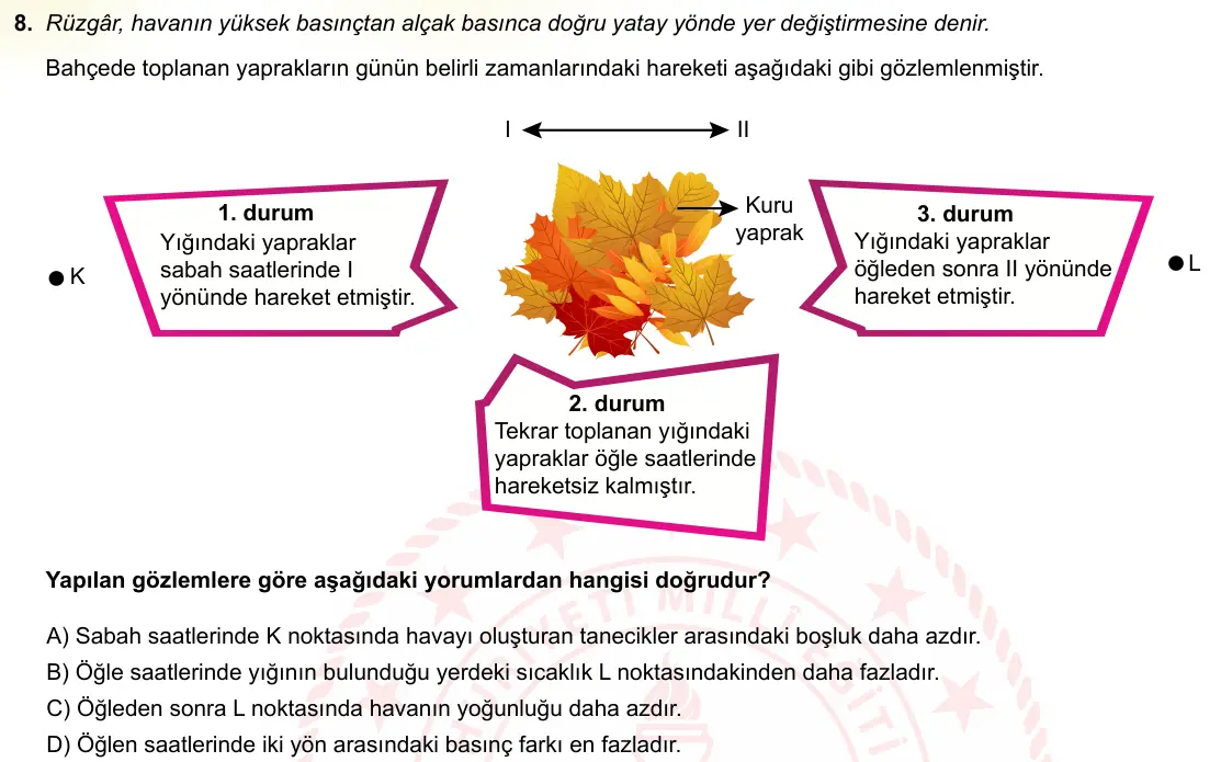 LGS Örnek Soruları Ekim 2021 Sayısal Fen Bilimleri 8. Soru görseli