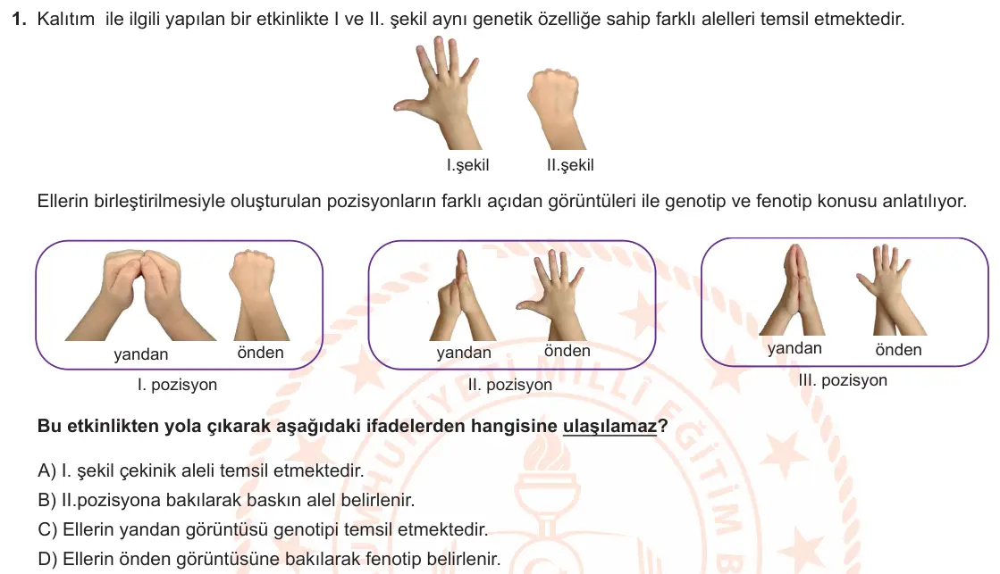 LGS Örnek Soruları Kasım 2021 Sayısal Fen Bilimleri 1. Soru görseli