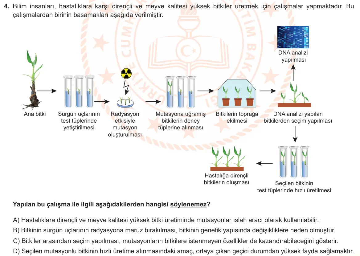 LGS Örnek Soruları Kasım 2021 Sayısal Fen Bilimleri 4. Soru görseli