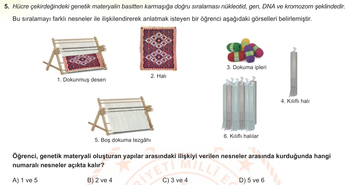 LGS Örnek Soruları Kasım 2021 Sayısal Fen Bilimleri 5. Soru görseli
