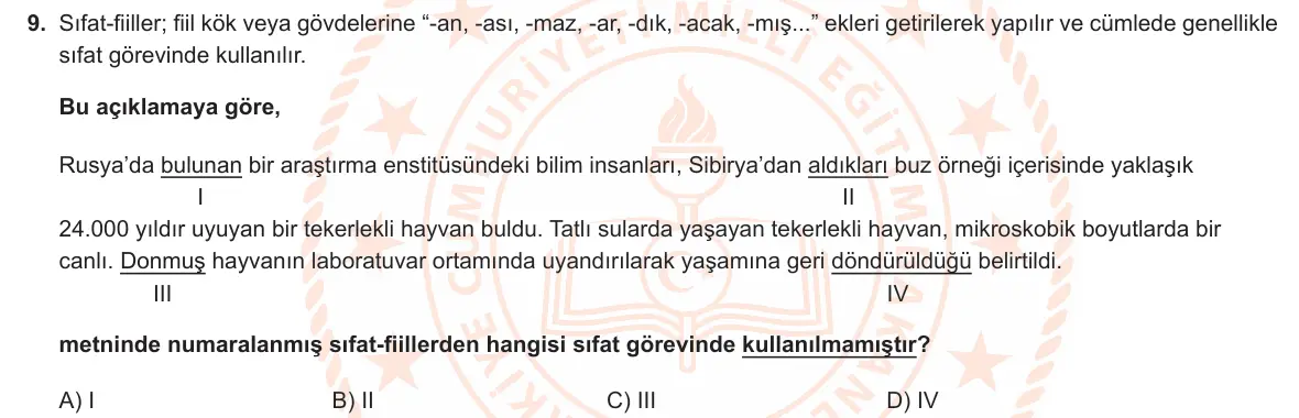 LGS Örnek Soruları Kasım 2021 Sözel Türkçe 9. Soru görseli