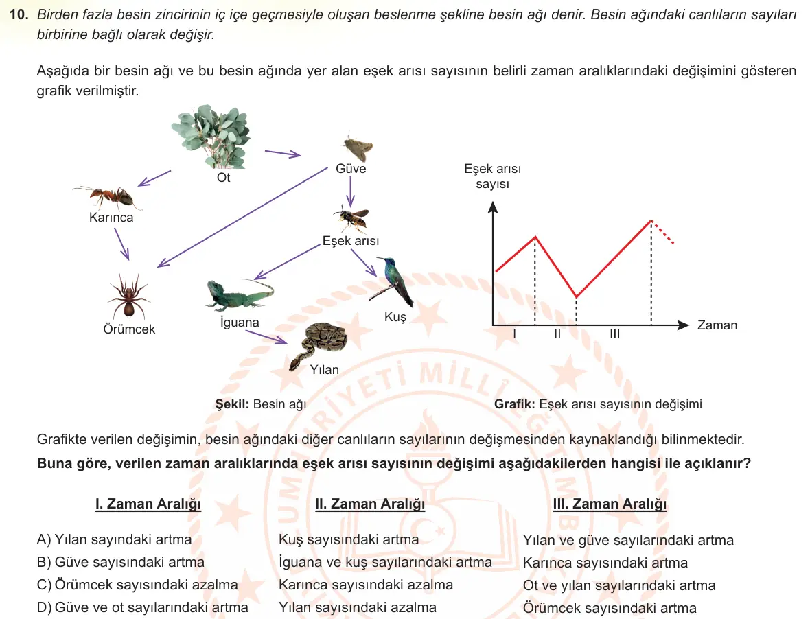 LGS Örnek Soruları Mayıs 2022 Sayısal Fen Bilimleri 10. Soru görseli