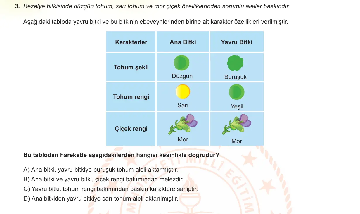 LGS Örnek Soruları Mayıs 2022 Sayısal Fen Bilimleri 3. Soru görseli