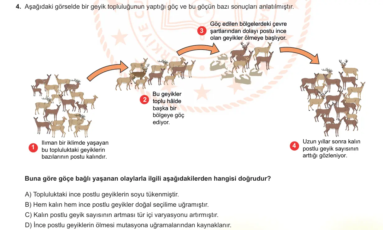 LGS Örnek Soruları Mayıs 2022 Sayısal Fen Bilimleri 4. Soru görseli