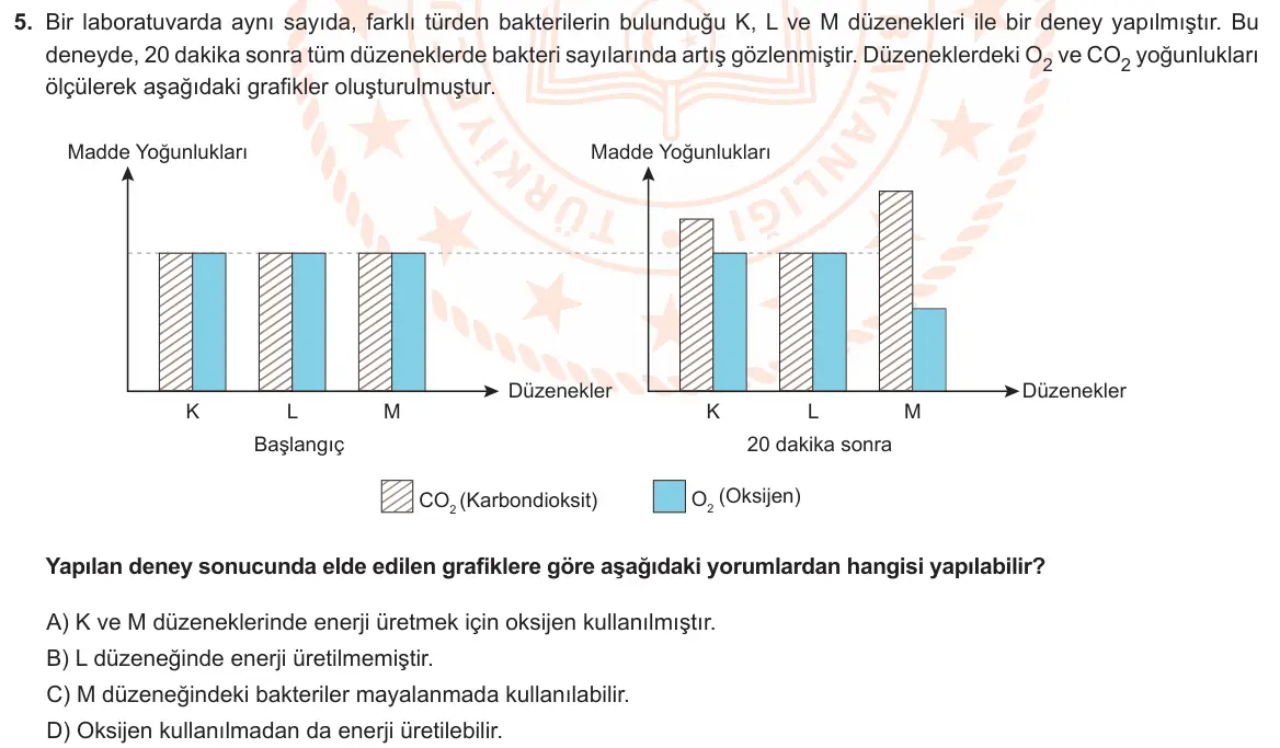 LGS Örnek Soruları Nisan 2022 Sayısal Fen Bilimleri 5. Soru görseli