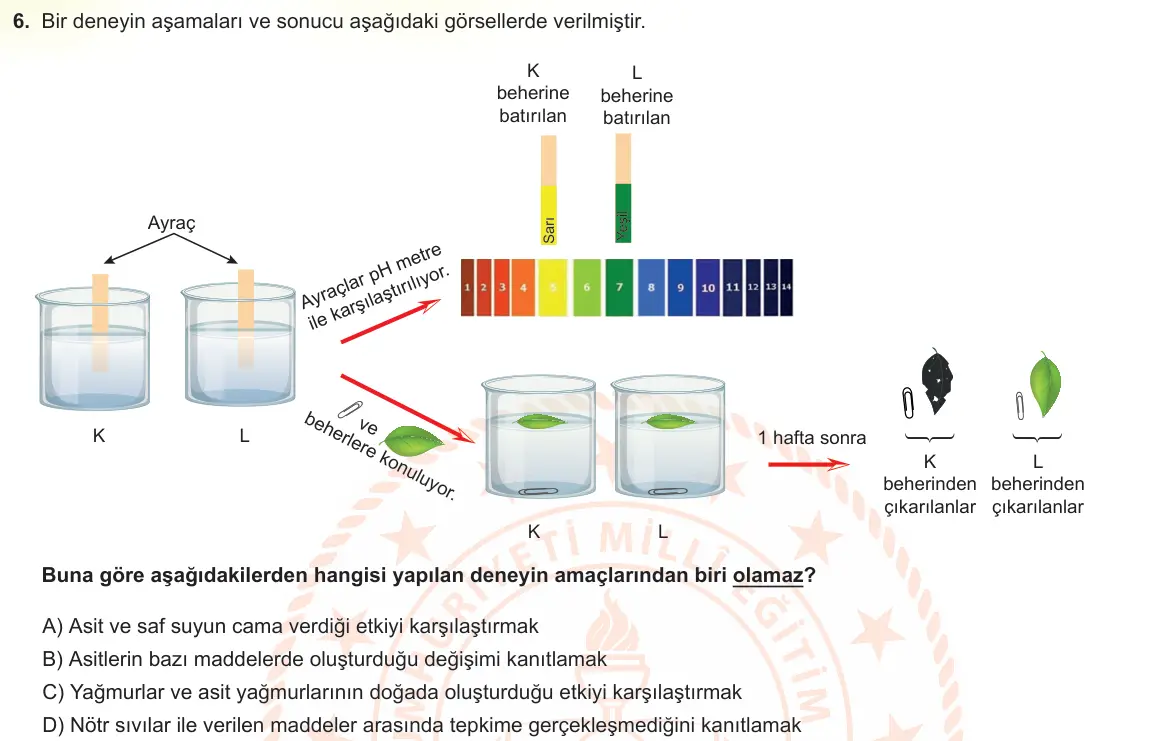 LGS Örnek Soruları Ocak 2022 Sayısal Fen Bilimleri 6. Soru görseli