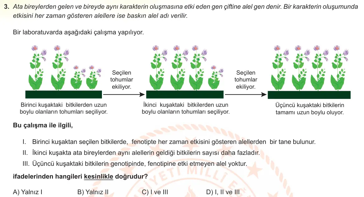 LGS Örnek Soruları Şubat 2022 Sayısal Fen Bilimleri 3. Soru görseli