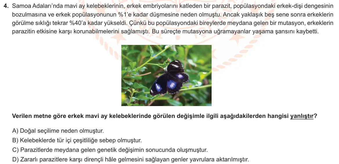 LGS Örnek Soruları Şubat 2022 Sayısal Fen Bilimleri 4. Soru görseli