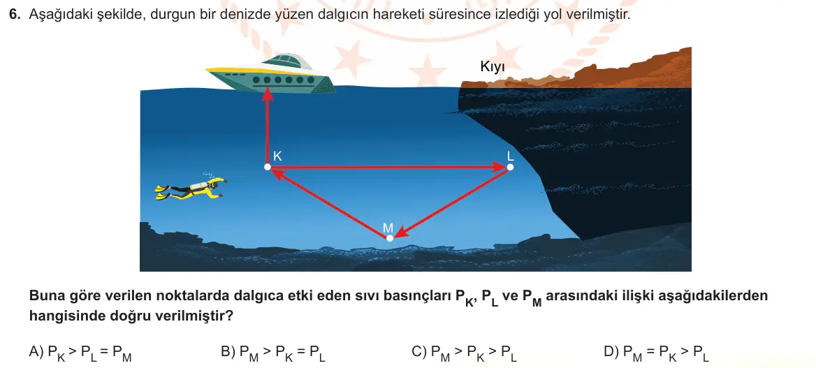 LGS Örnek Soruları Şubat 2022 Sayısal Fen Bilimleri 6. Soru görseli