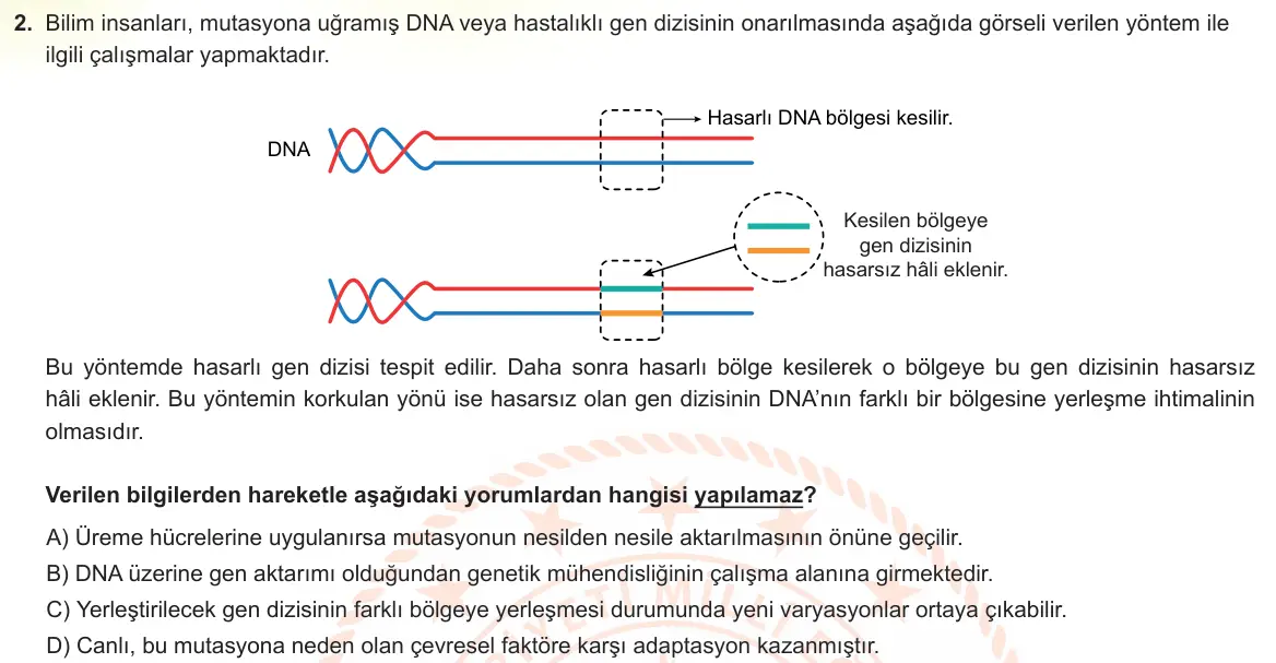LGS Örnek Soruları Aralık 2022 Sayısal Fen Bilimleri 2. Soru görseli