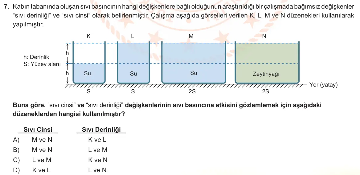 LGS Örnek Soruları Aralık 2022 Sayısal Fen Bilimleri 7. Soru görseli
