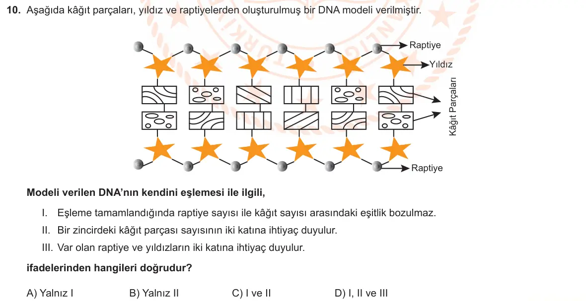 LGS Örnek Soruları Ekim 2022 Sayısal Fen Bilimleri 10. Soru görseli
