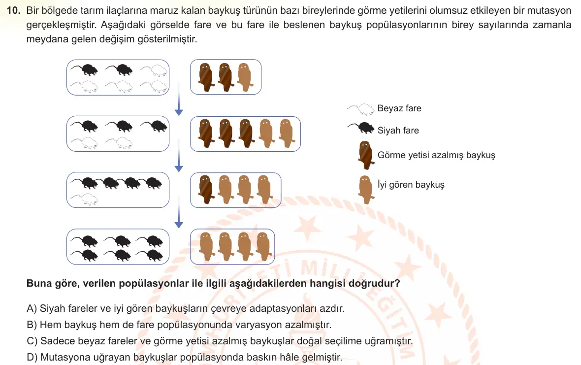 LGS Örnek Soruları Kasım 2022 Sayısal Fen Bilimleri 10. Soru görseli
