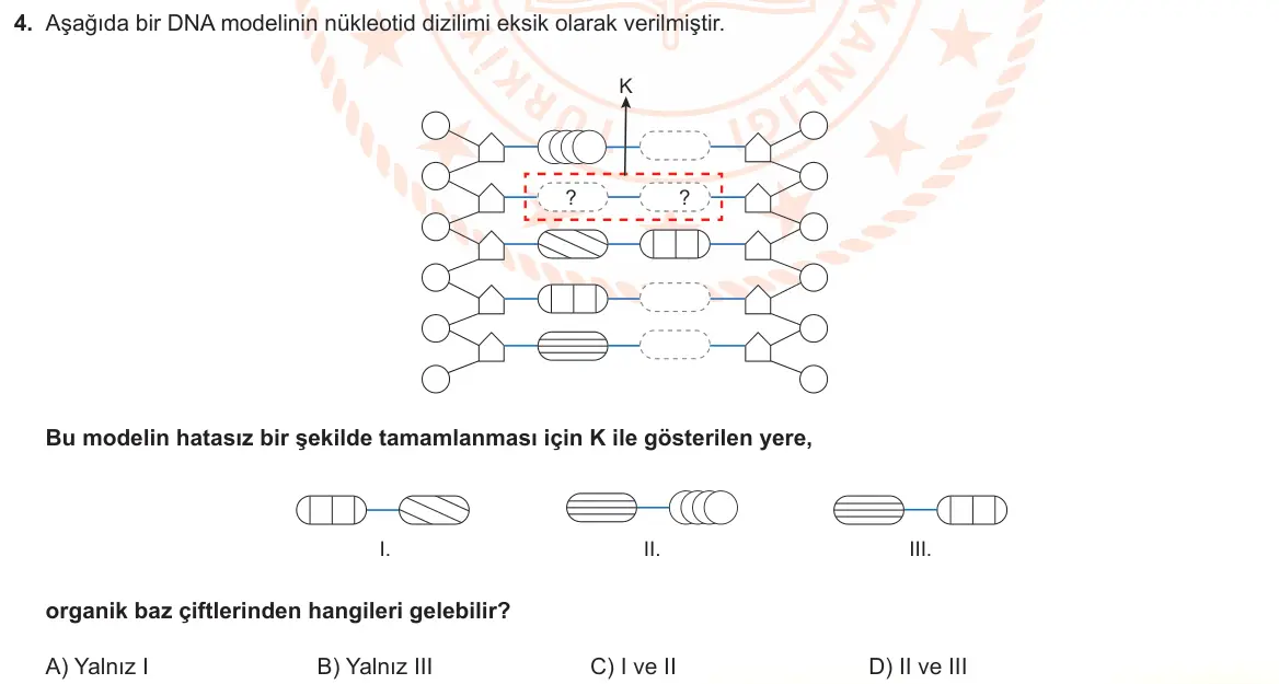 LGS Örnek Soruları Kasım 2022 Sayısal Fen Bilimleri 4. Soru görseli