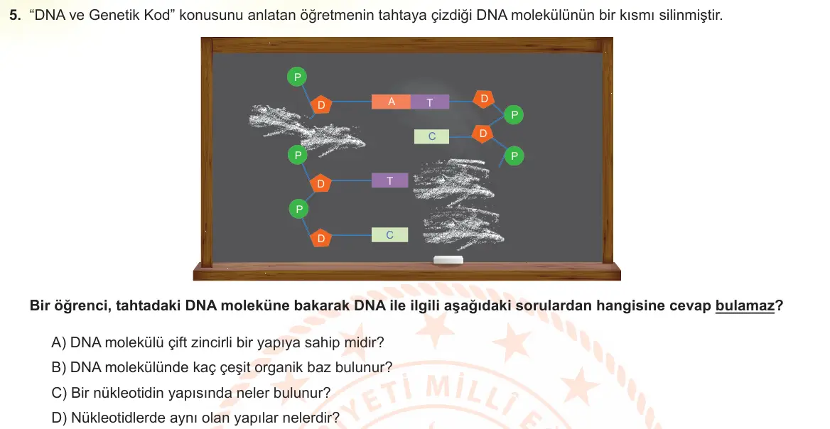 LGS Örnek Soruları Kasım 2022 Sayısal Fen Bilimleri 5. Soru görseli