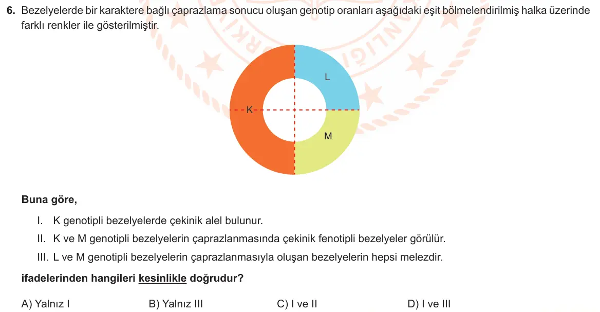 LGS Örnek Soruları Kasım 2022 Sayısal Fen Bilimleri 6. Soru görseli