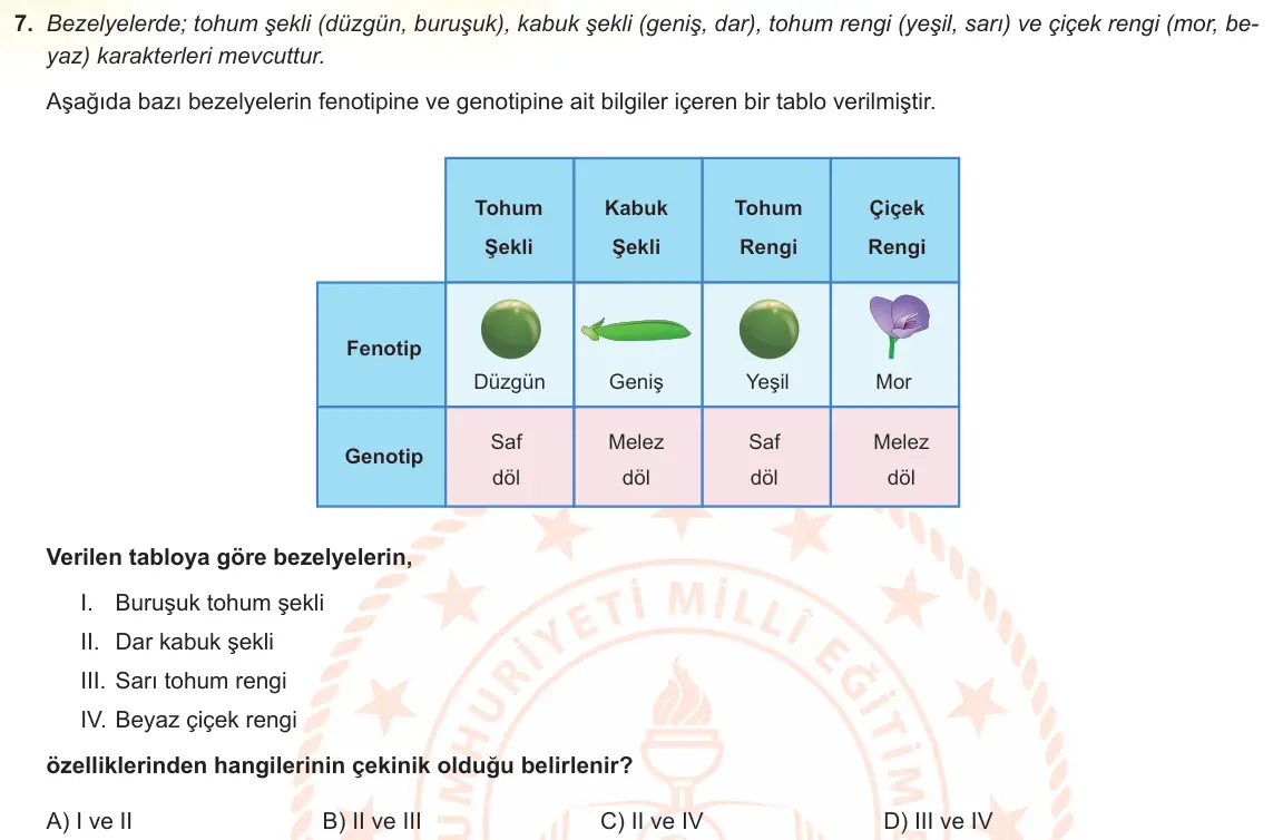 LGS Örnek Soruları Kasım 2022 Sayısal Fen Bilimleri 7. Soru görseli