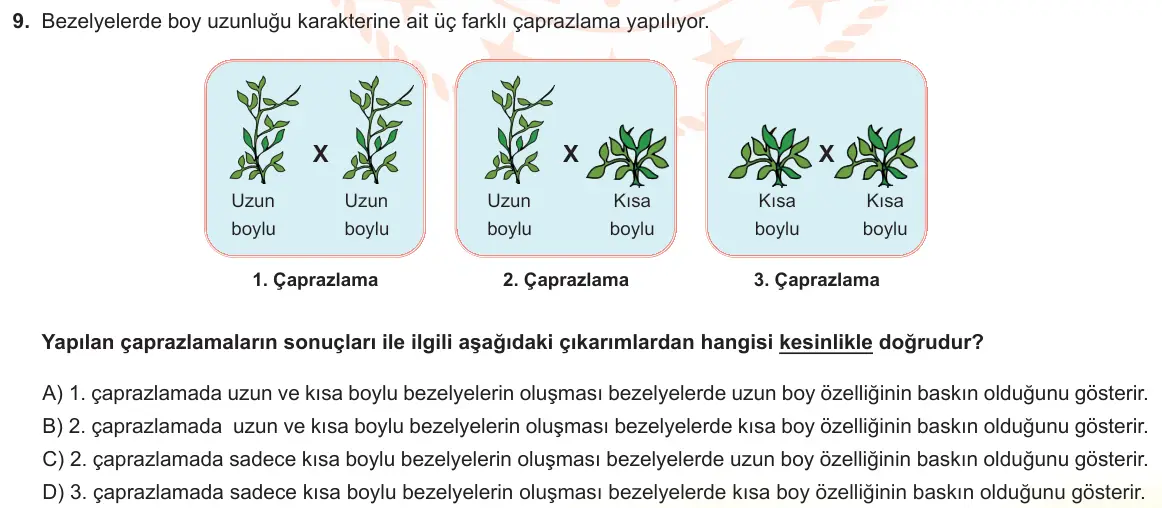 LGS Örnek Soruları Kasım 2022 Sayısal Fen Bilimleri 9. Soru görseli