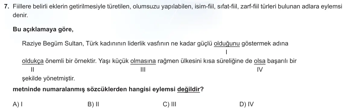 LGS Örnek Soruları Kasım 2022 Sözel Türkçe 7. Soru görseli
