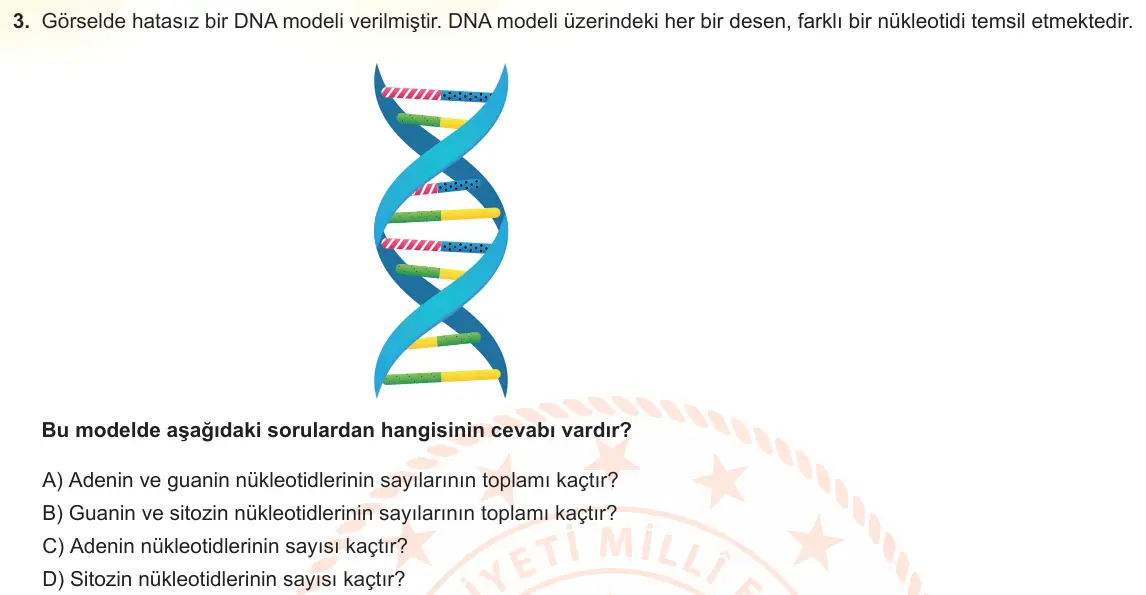 LGS Örnek Soruları Mart 2023 Sayısal Fen Bilimleri 3. Soru görseli