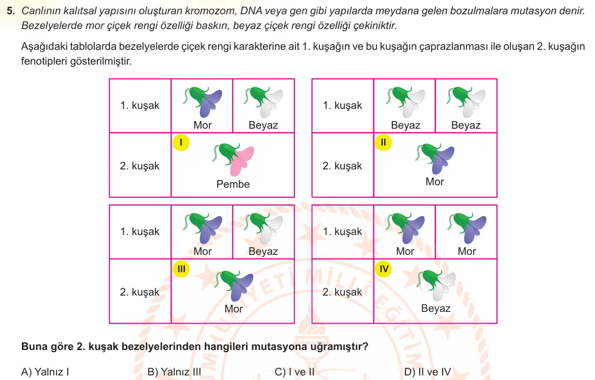 LGS Örnek Soruları Mart 2023 Sayısal Fen Bilimleri 5. Soru görseli