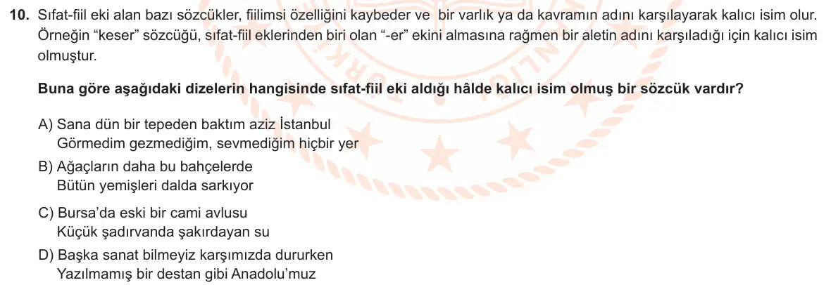 LGS Örnek Soruları Mart 2023 Sözel Türkçe 10. Soru görseli