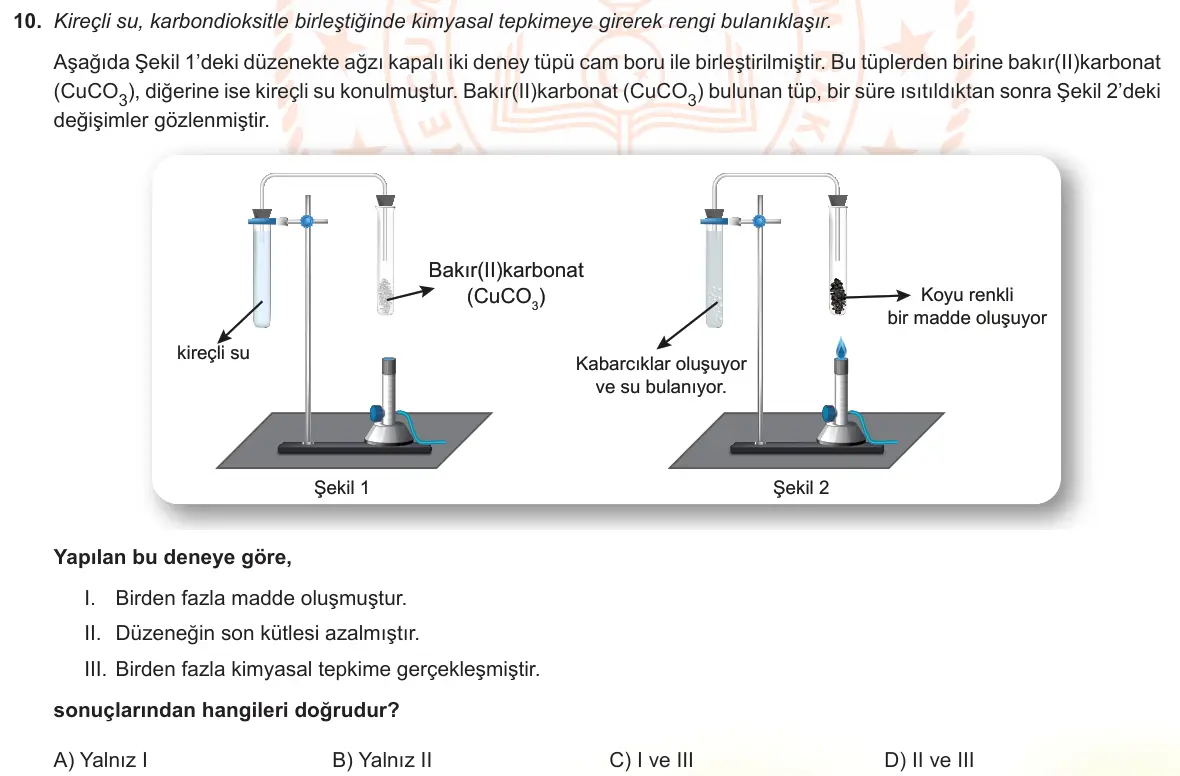 LGS Örnek Soruları Mayıs 2023 Sayısal Fen Bilimleri 10. Soru görseli