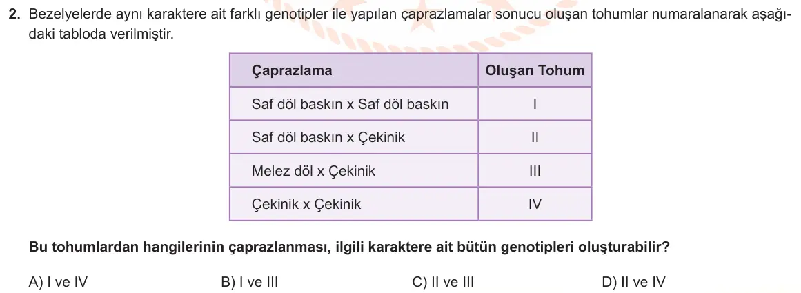 LGS Örnek Soruları Mayıs 2023 Sayısal Fen Bilimleri 2. Soru görseli