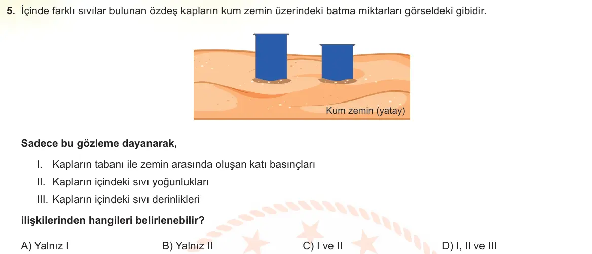 LGS Örnek Soruları Mayıs 2023 Sayısal Fen Bilimleri 5. Soru görseli