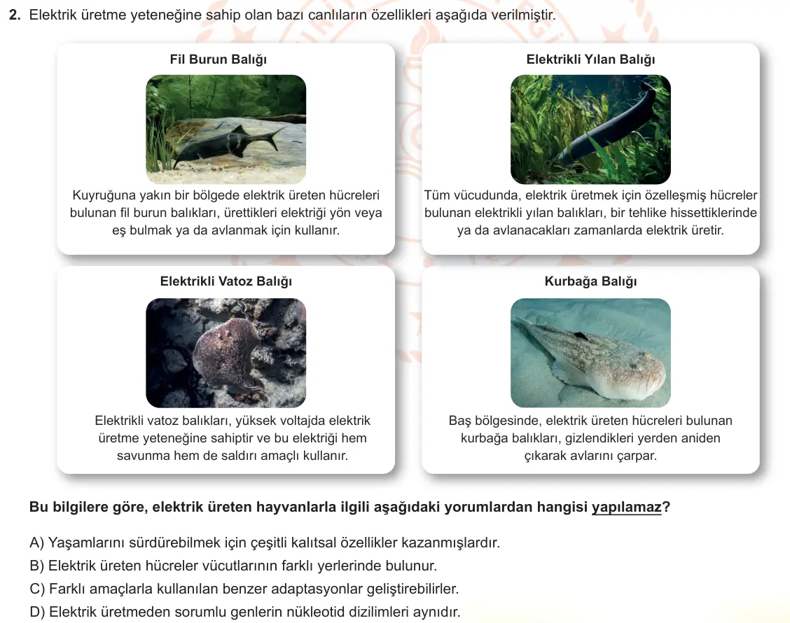 LGS Örnek Soruları Nisan 2023 Sayısal Fen Bilimleri 2. Soru görseli