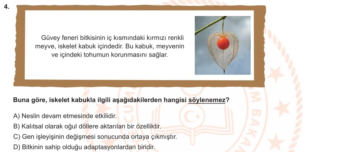 LGS Örnek Soruları Nisan 2023 Sayısal Fen Bilimleri 4. Soru görseli